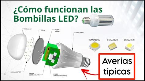 infografía: componentes de una lámpara de techo LED