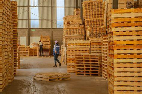 Cadena de producción de parquet y tarimas