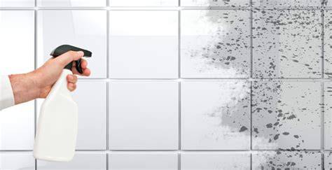 guía de limpieza de azulejos con herramientas